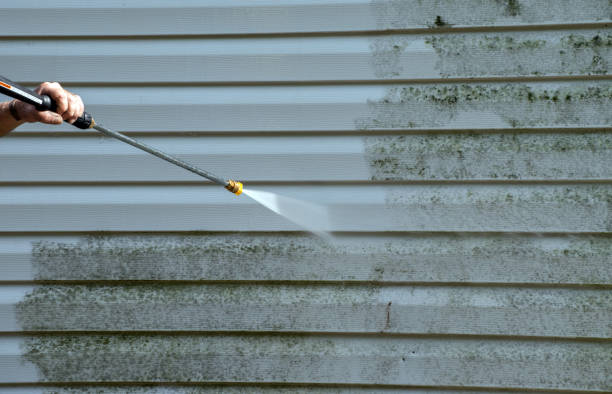 Best Commercial Pressure Washing  in King Cove, AK