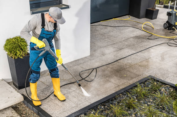 Best Residential Pressure Washing Services  in King Cove, AK
